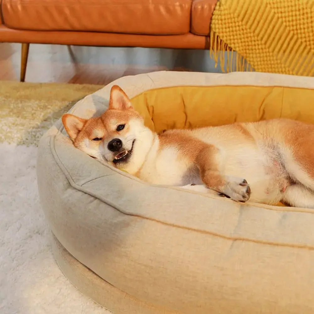 Lit orthopédique pour grand chien