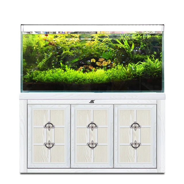 Aquarium en verre avec éclairage LED