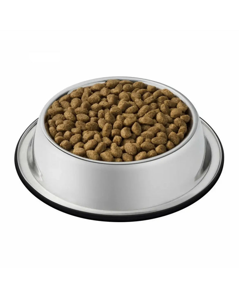 Croquettes hypoallergéniques pour chien