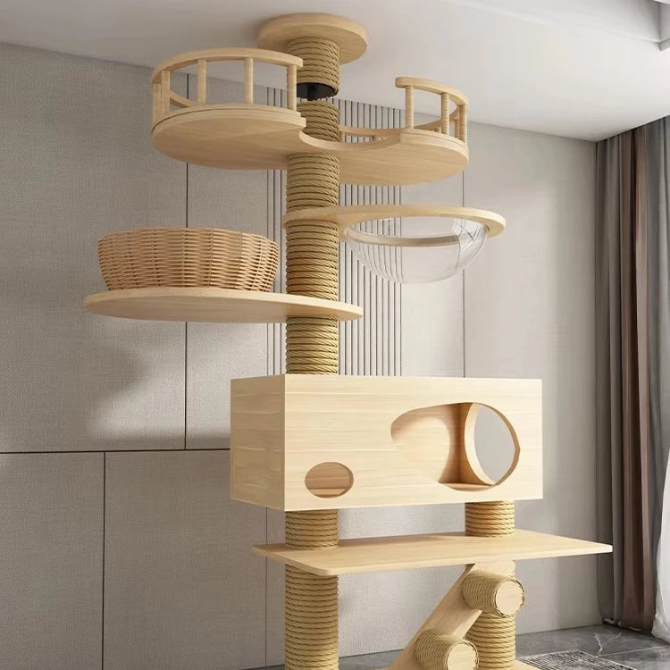 Arbre à chat avec maison et transat