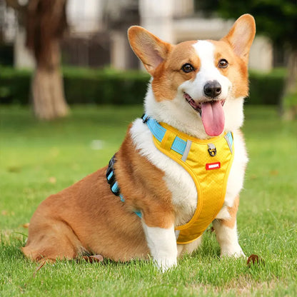 Harnais réglable réfléchissant pour chien